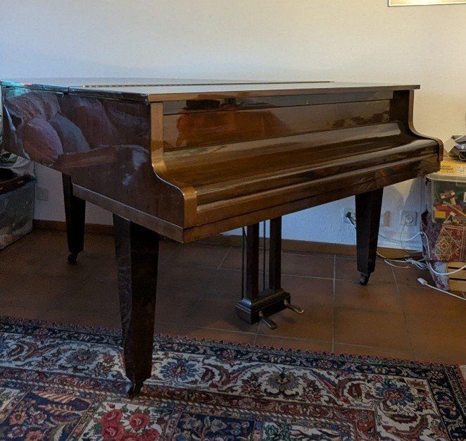 Strumenti musicali: Piano à queue – Usato da TANNAY venduto da Berkoricar 2