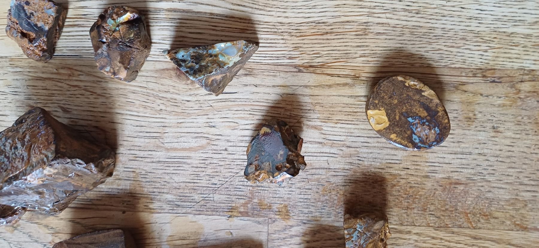 Pietre preziose: Bolder Opale  11 Stück  – Usato da Flawil venduto da Naphtali 1