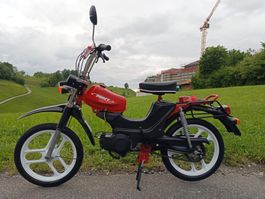 Pony Cross 2-Gang Automat