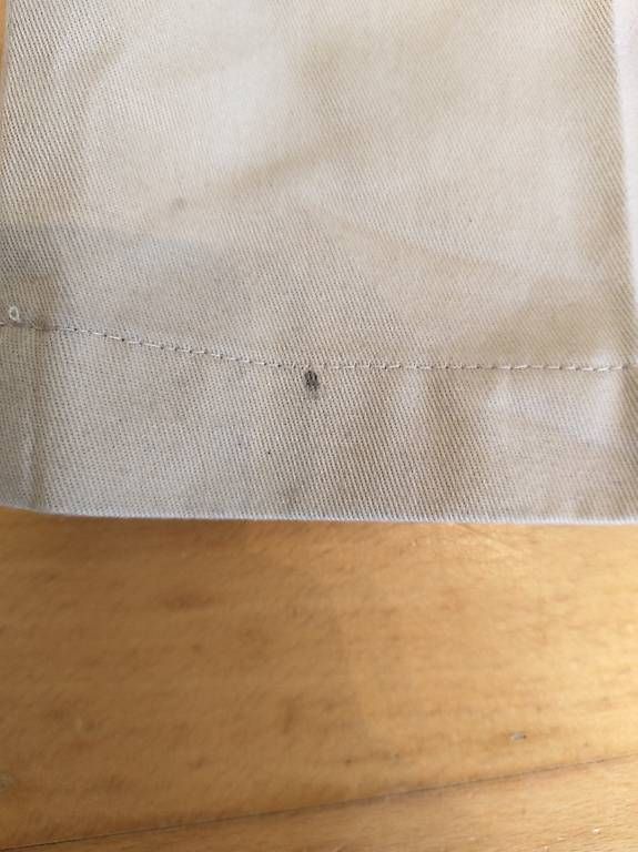 Pantaloni: Dickies Hose beige Gr. 29 – Usato da Einsiedeln venduto da Matteo_123 2