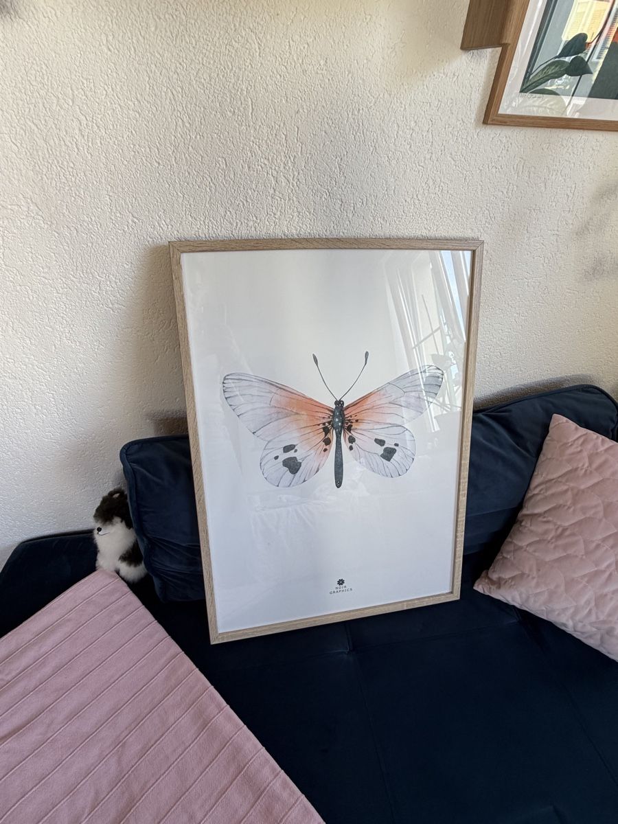 Poster & Bilder: Gerahmtes Bild Schmetterling – Gebraucht aus Birsfelden von jan_2p29