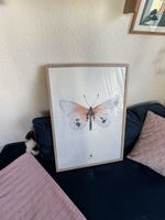 Gerahmtes Bild Schmetterling
