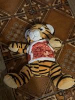 Stofftier Tiger mit Kleidung guter Zustand