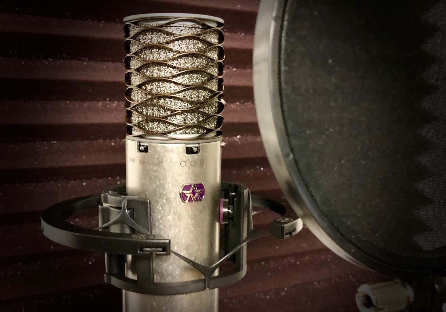 Altri accessori: Studio Akustikelemente und Bass Absorbers – Usato da Zuchwil venduto da Speaker0 7