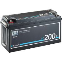 ECTIVE LiFePO4 200Ah - NEU