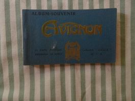 Souvenier-Album Avignon 19 von 20 Ansichtskarten - M137