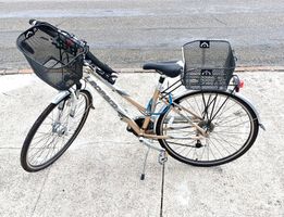 Schönes Leopard Velo mit 2 Körben, Damen Trekking Bike 28"
