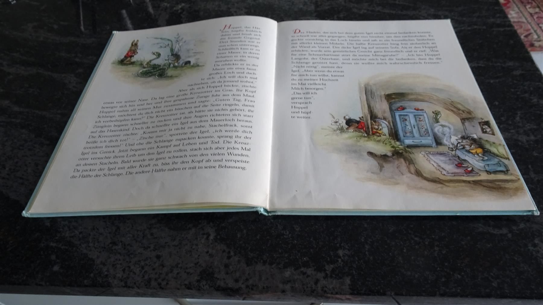 Libri: Hoppel Langohr   von Lore Hummel   1998 – Usato da Zürich venduto da Roulet 5