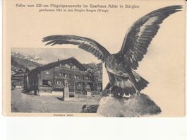 Bürglen Adler ca. 1915, Tischrechung