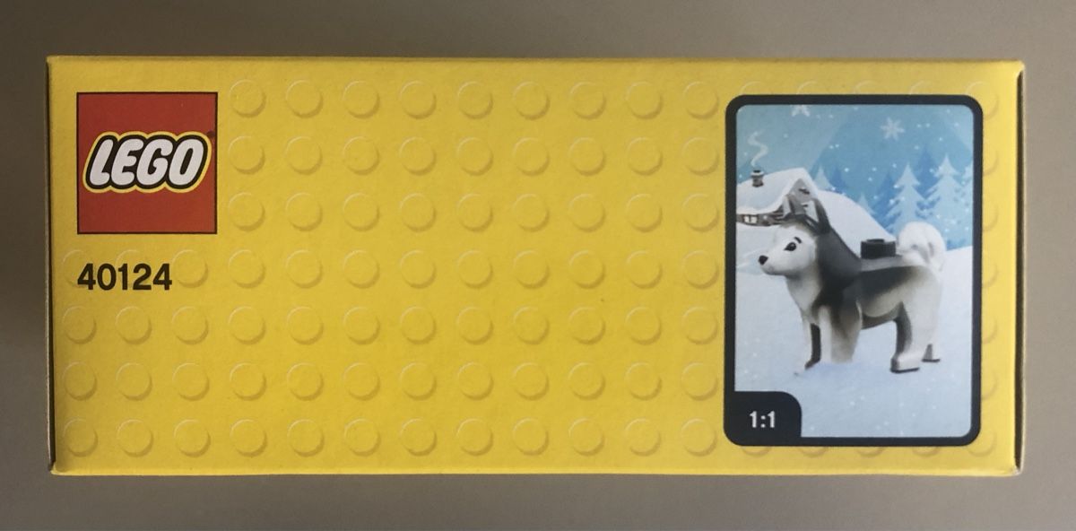 Lego Giocattoli: LEGO Winterspass 40124 Winter Fun NEU & OVP – Nuovo e nell'imballaggio originale da Unterseen venduto da Wue411 5
