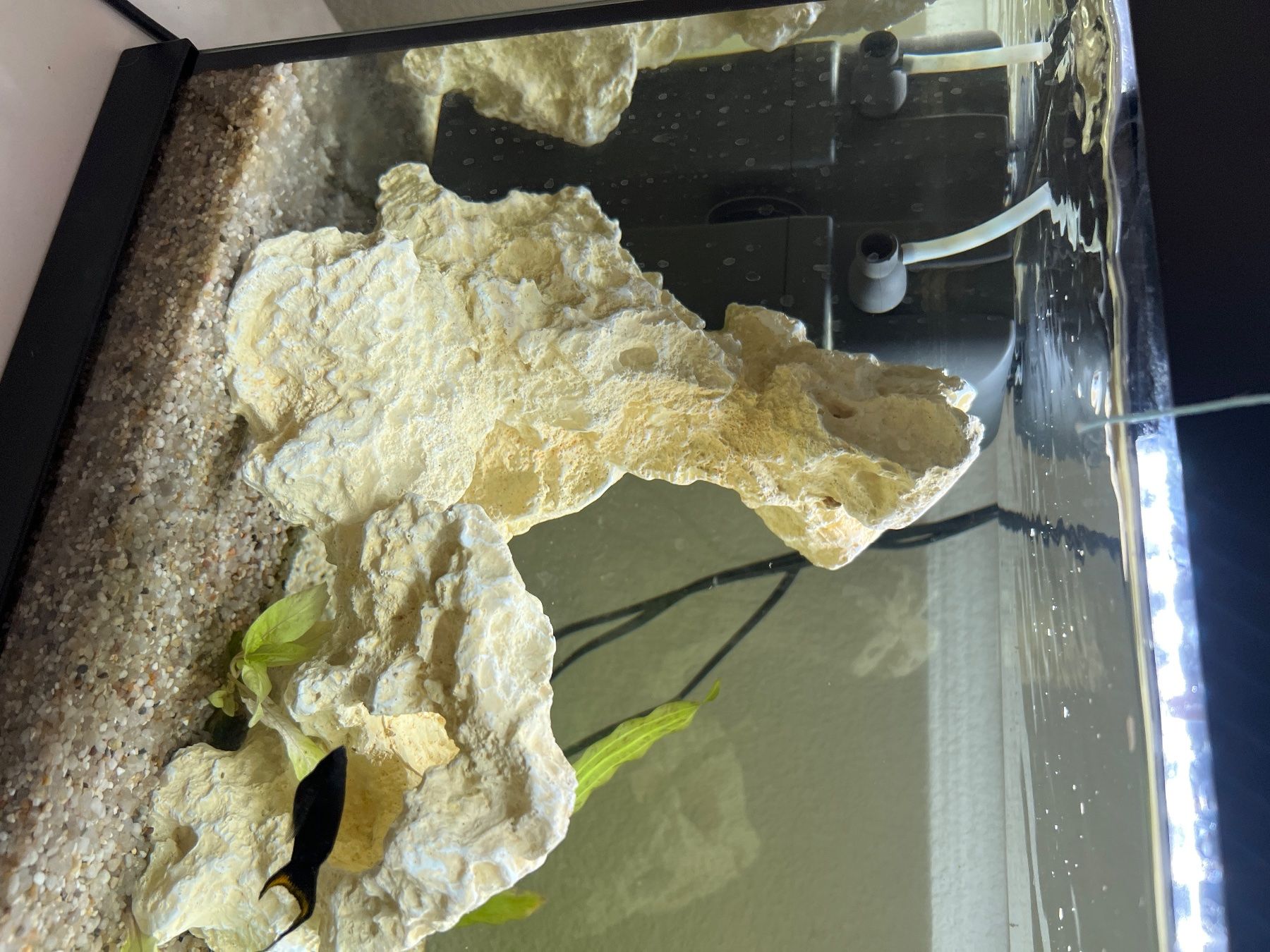 Aquarium: Aquarium inkl Pumpe Inhalt – D'occasion à Ittigen par ABalli 3