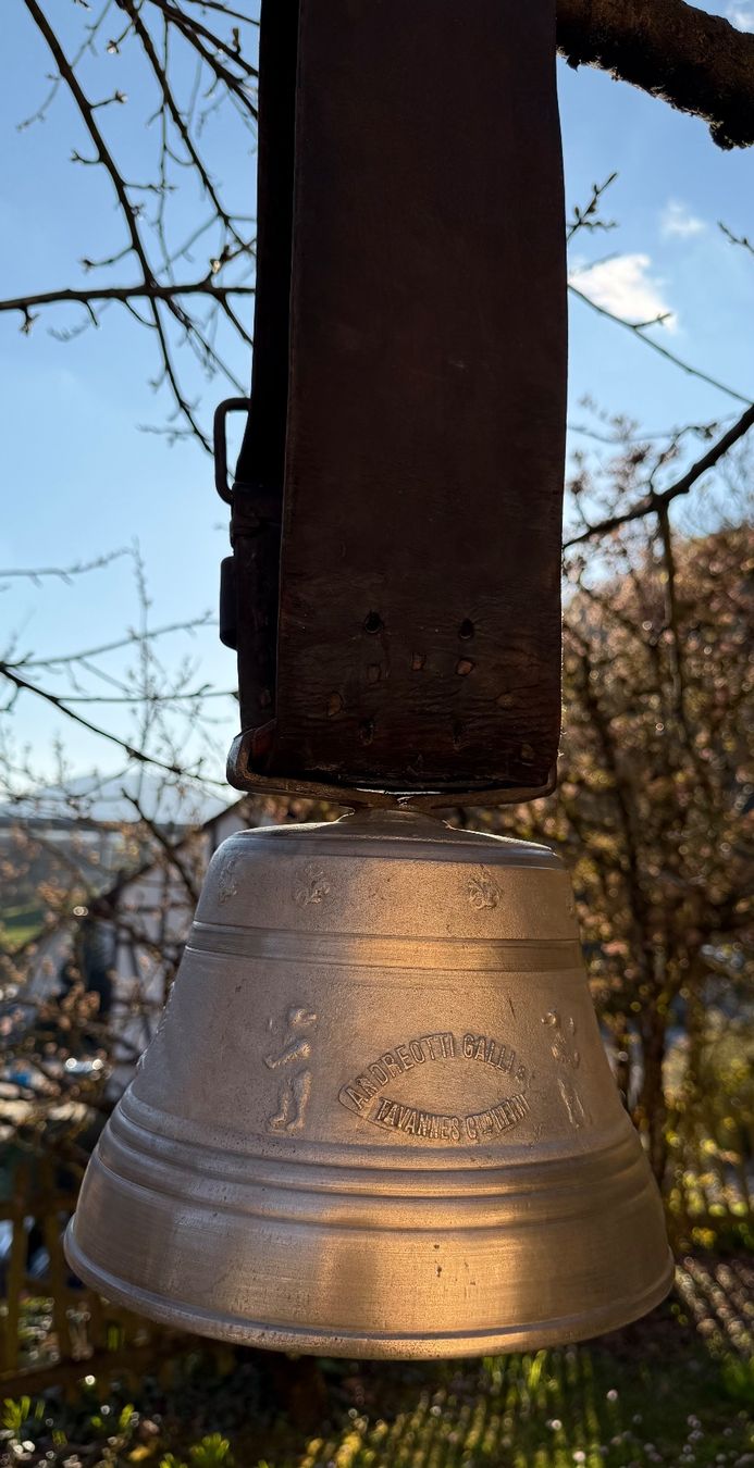 Glocken & Treicheln: Kuhglocke – Gebraucht aus Frinvillier von Samsara77 5