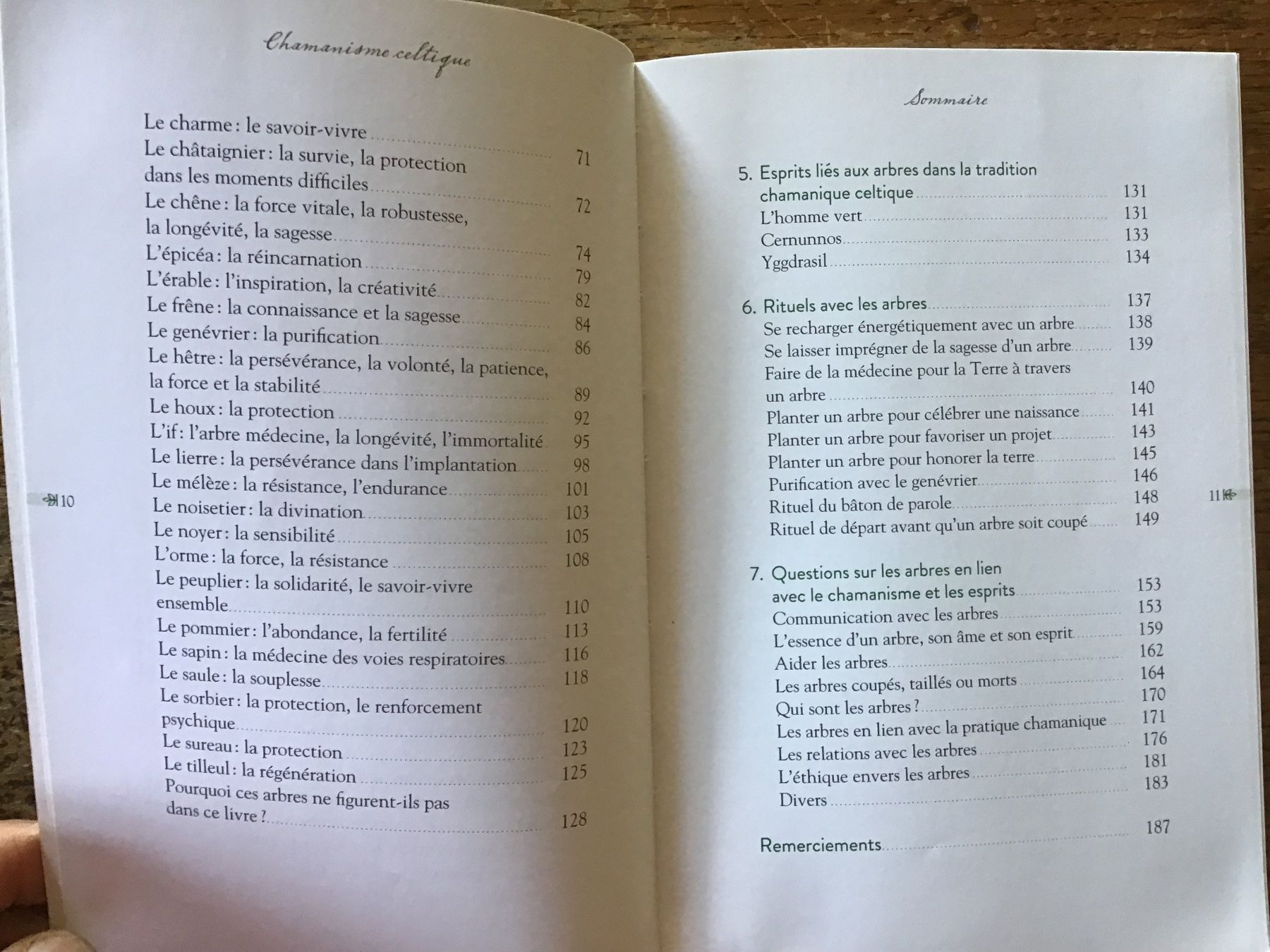 Livres: Chamanisme celtique, ces arbres nos maîtres – D'occasion à Fully par Ruby97 3