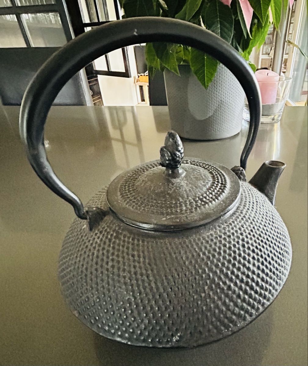 Teiere: Théière Fonte 0.8l – Nuovo (secondo la descrizione) da Vich venduto da NatachaCK 1