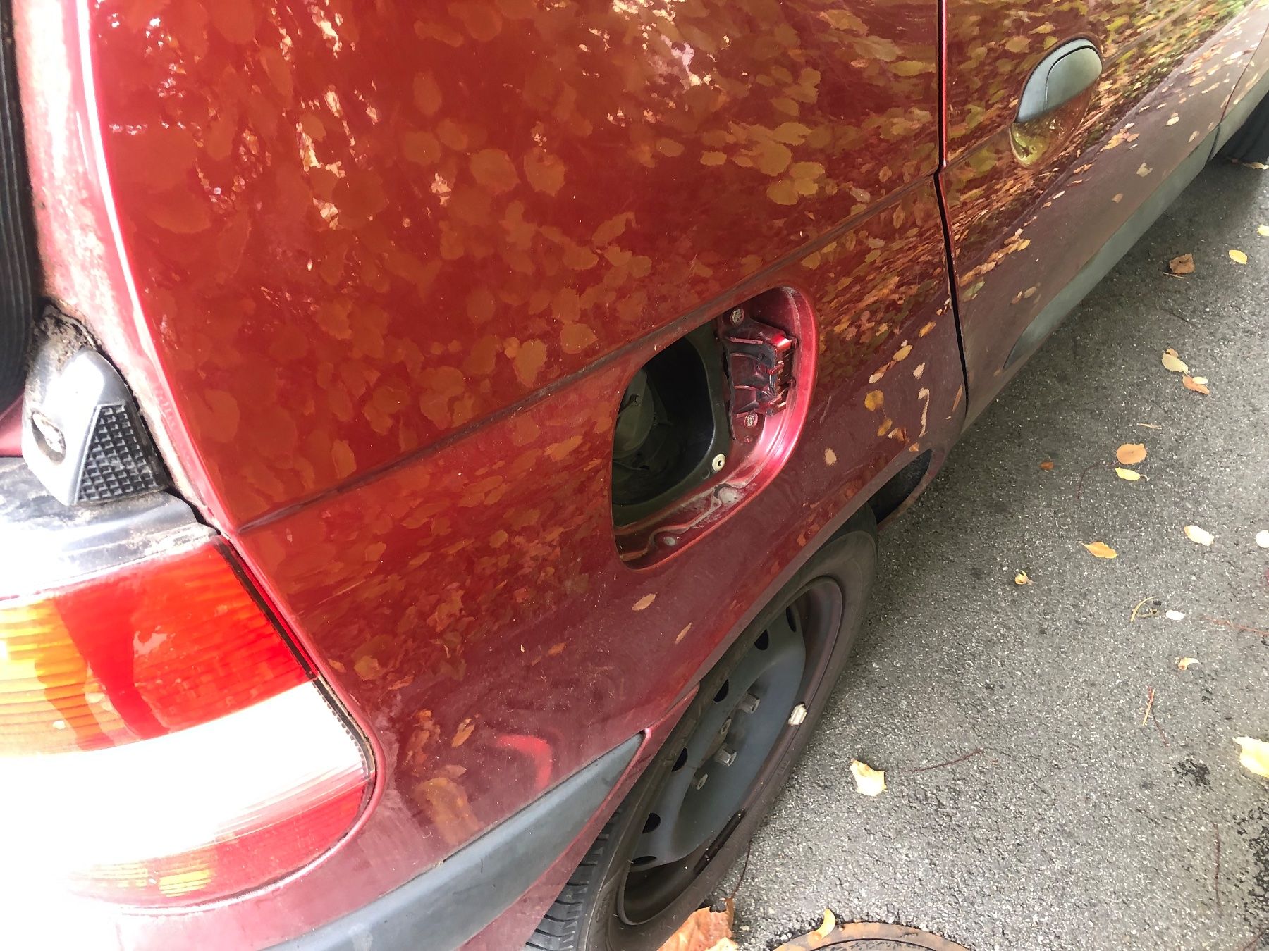 Renault Automobili: Renault Scenic 2 L – Difettoso da Rothrist venduto da bambus18 3