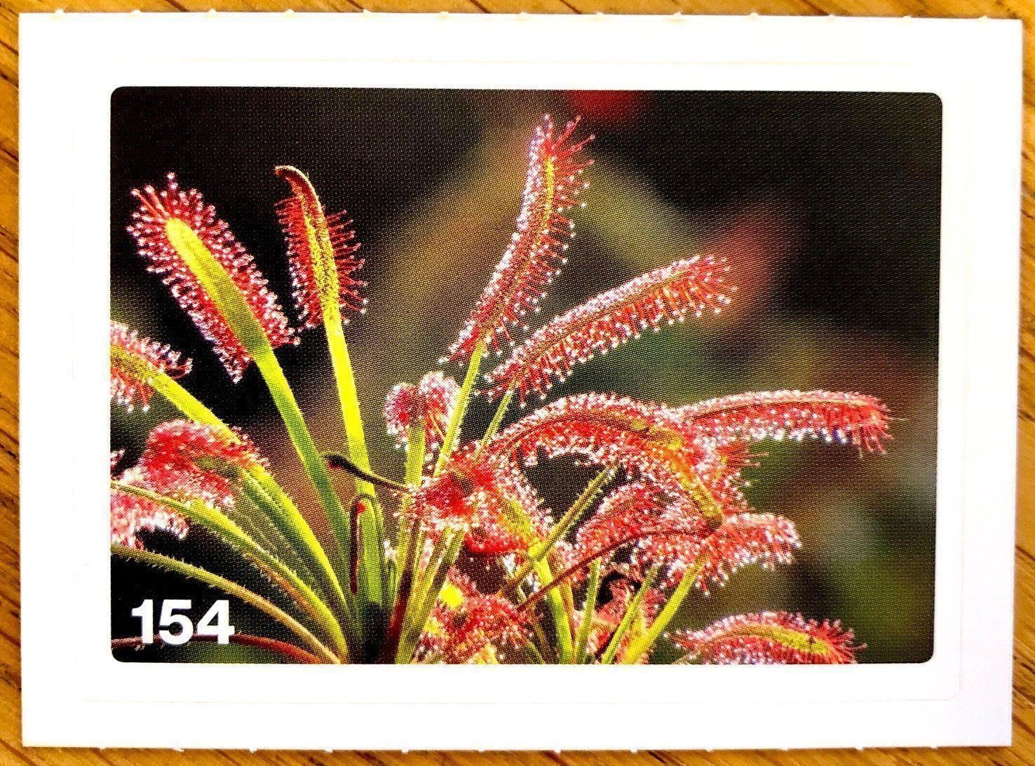 Migros Sammelbilder & Trading cards: Migros Nature Detectives - Bild Nr. 154 – Neu (gemäss Beschreibung) aus Oberrieden von Zimmerberg10