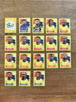 Südafrika RSA Panini WM 2026