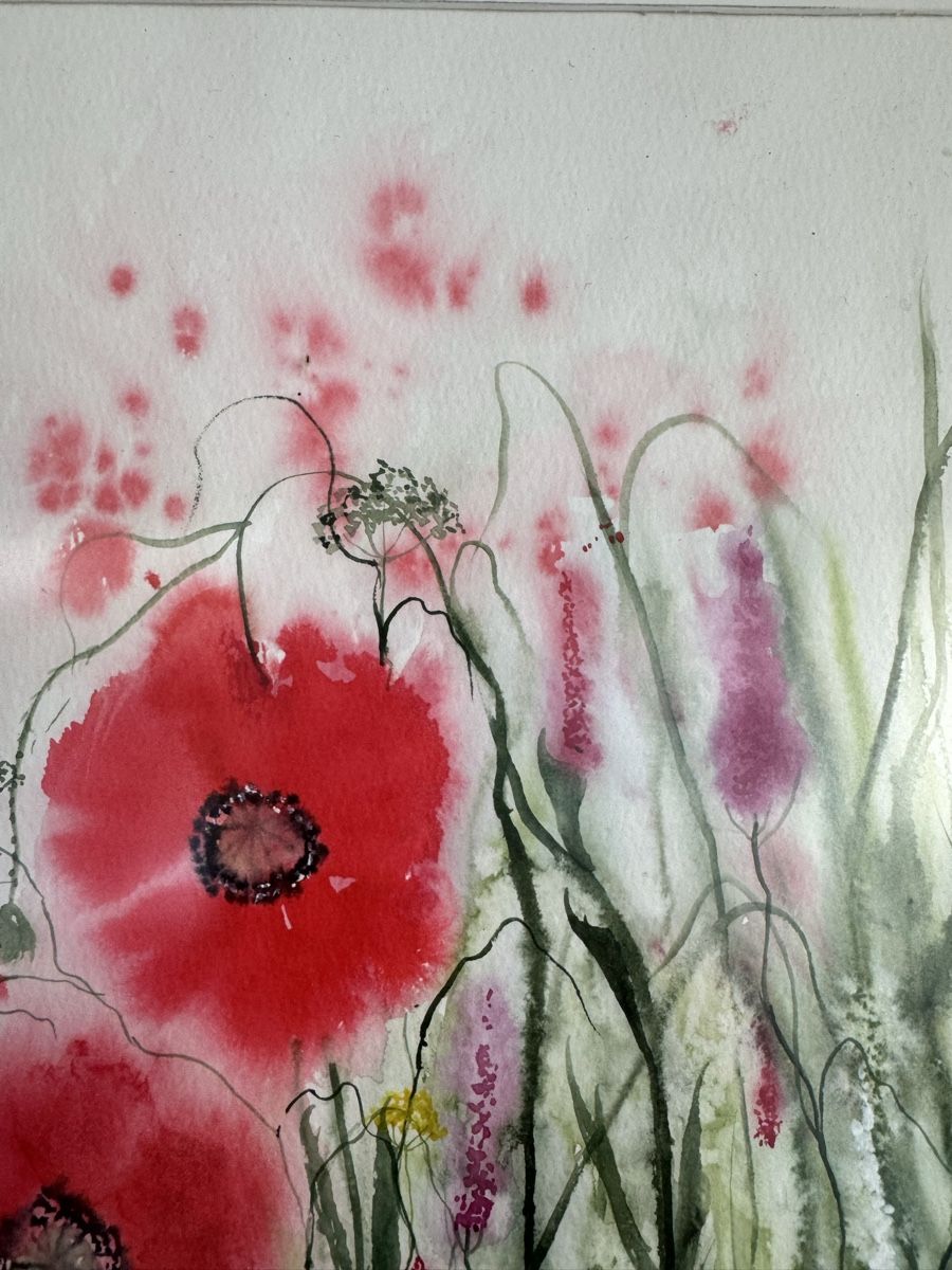 Dipinti: Aquarell ,,Mohnblumen,,Unikat – Usato da Lanzenhäusern venduto da Galaa 3