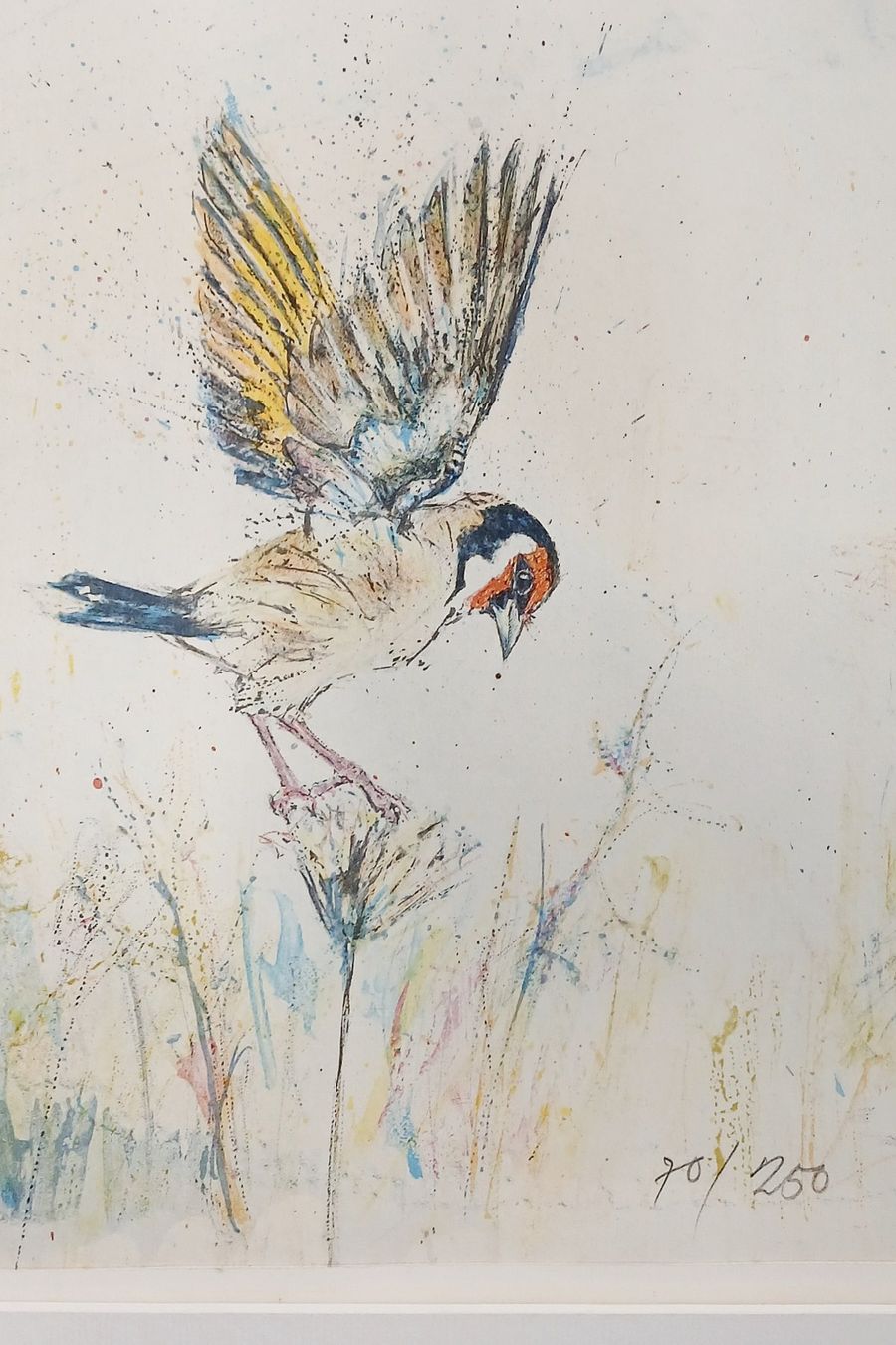 Grafica & Litografie: Fritz Hug  >>zwei einheimische Vögel >> – Usato da Hinwil venduto da Chnap 2