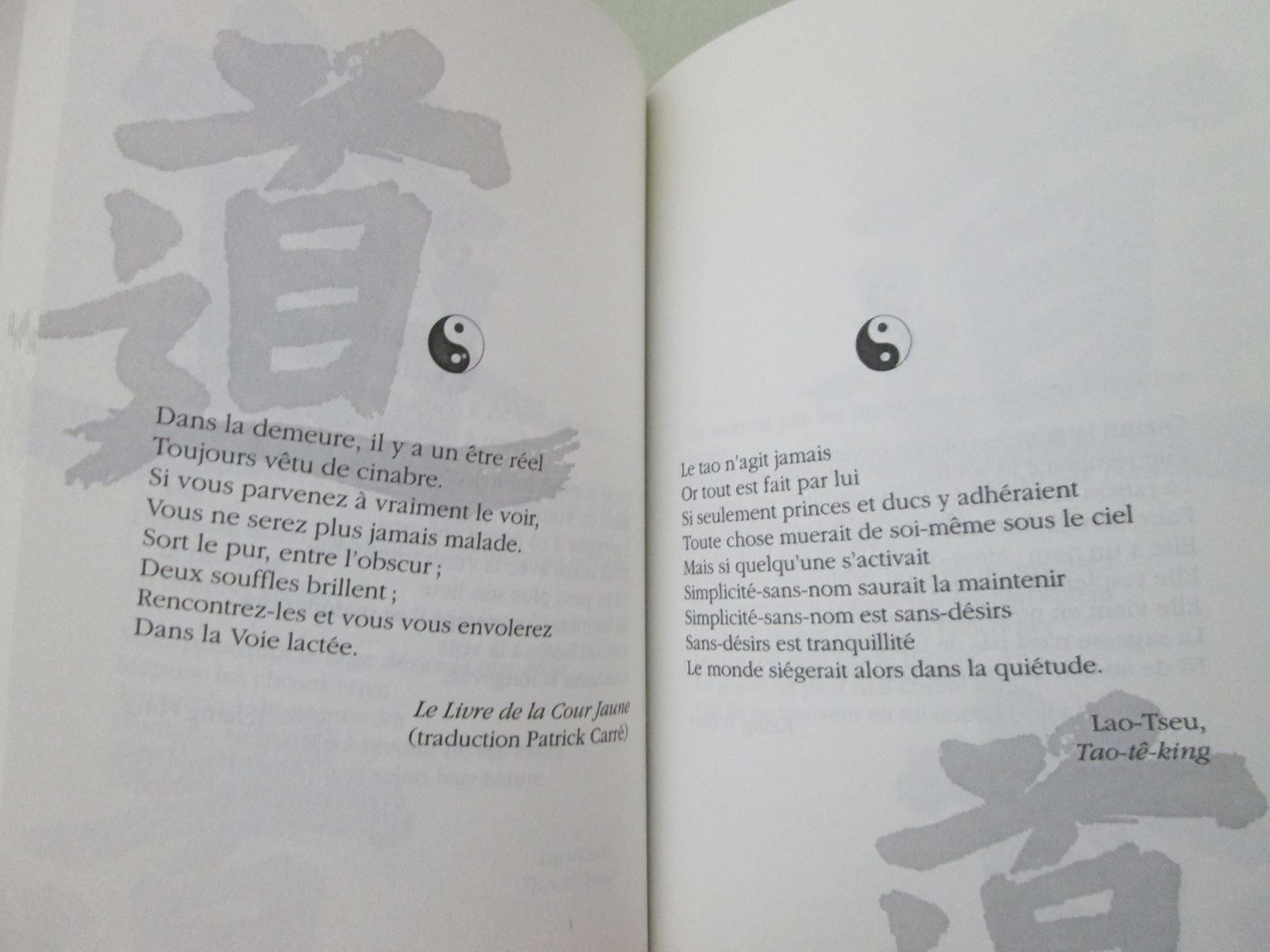 Bücher: Méditations du Tao – Gebraucht aus Neuchâtel von Dualseele 2