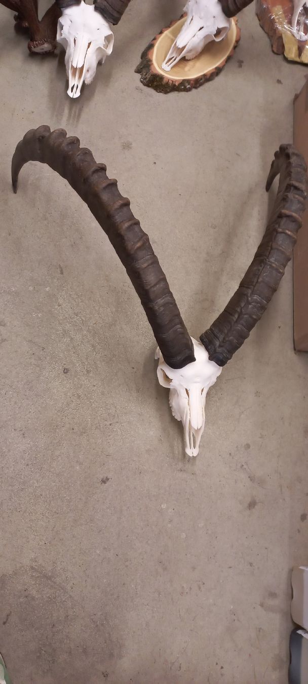 Sonstiges zum Sammeln & Seltenes: Steinbock – Gebraucht aus Mollis von Resel1985