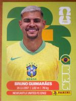 Panini BRA11