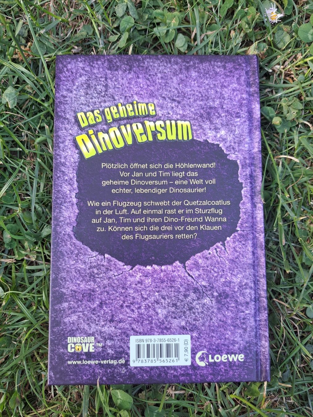 Libri: das geheime Dinoversum – Usato da Dachsen venduto da Mickymausi 1