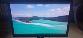 Dell U2412M 24" IPS Monitor - 1920x1200