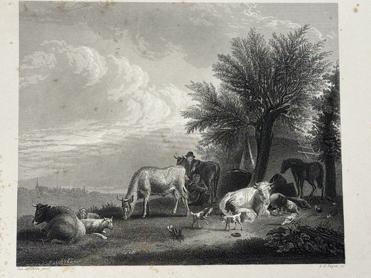 Stiche: Antike Stiche "Evening" & "Cattle" von A.H. Pyne – Gebraucht aus Erstfeld von Mario_boe0 5