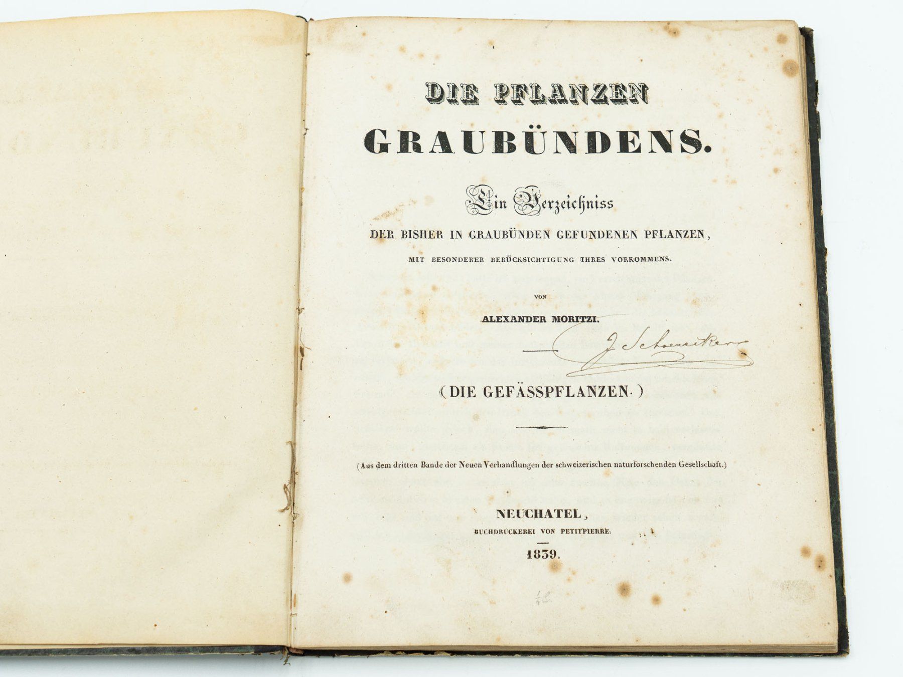 Libri: Antiquarisches Buch "Botanik Graubünden" - 1839 - Ref. 06/25 – Usato da Au ZH venduto da BrockiAu