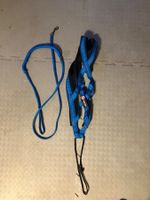 Schlittenhund Geschirr + Leine (elastisch) Grösse S