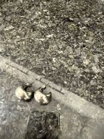 *NEU* Ohrringe in Tropfenform Silber