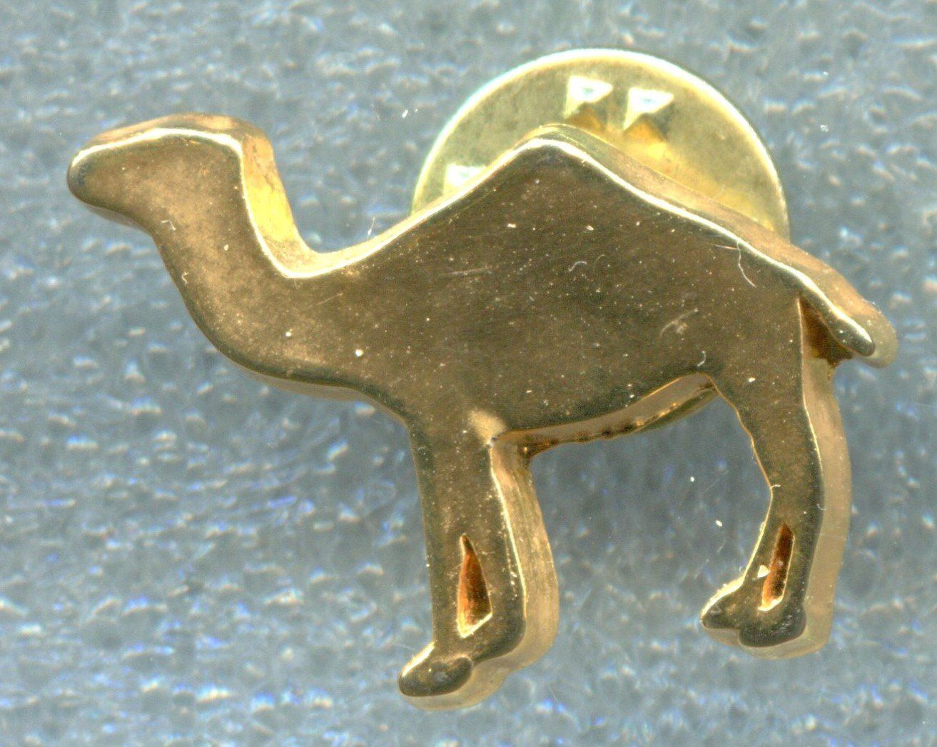 Camel Plaquettes & Badges: CAMEL  – D'occasion à Winterthur par Sammleroase