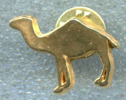 CAMEL 