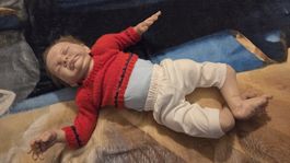 Realistische Baby Puppe(Abholung)