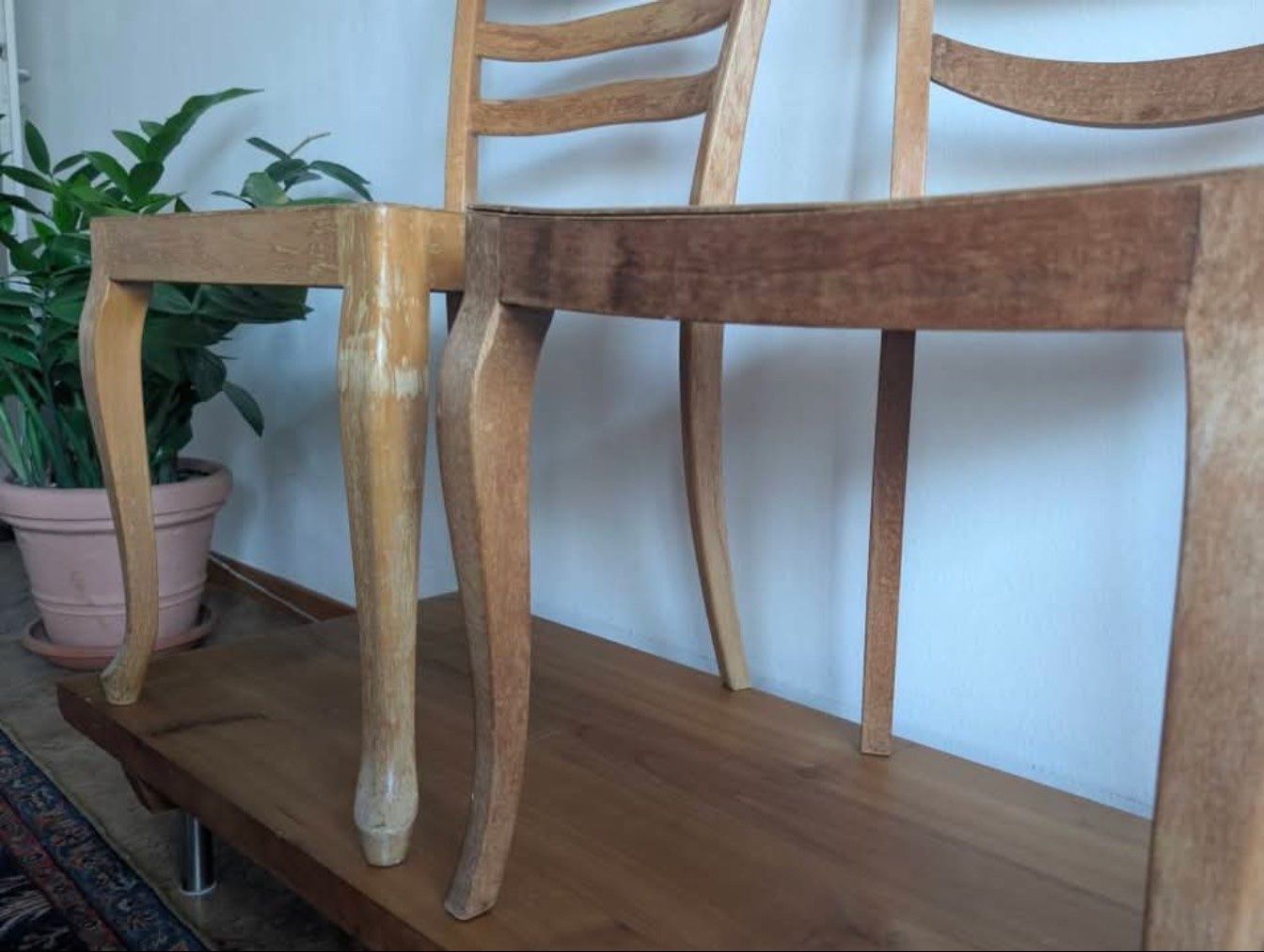 Sedie: Holzstühle – Usato da Basel venduto da mir_rdc5 2