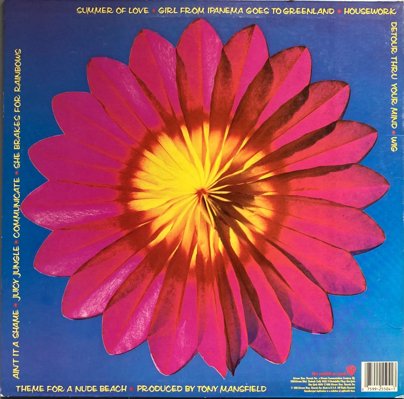 Dischi in vinile: THE B-52'S - BOUNCING OFF THE SATELLITES – Usato da Poliez-Pittet venduto da Newtown-Records 1