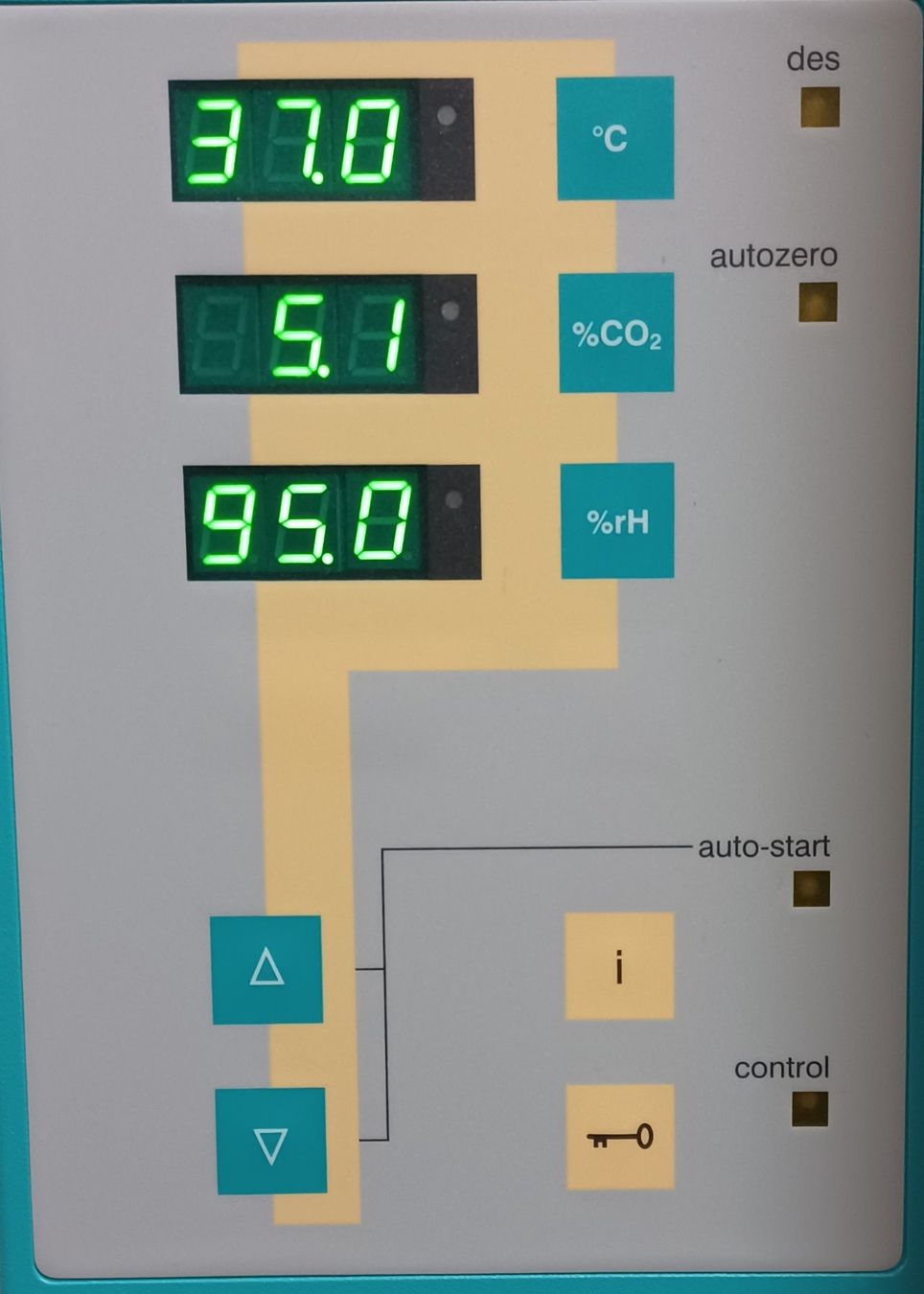 Accessori da laboratorio: Thermo Scientific BBD 6220 CO2 incubator – Usato da Niederdorf venduto da LeptonAG_Labor 6