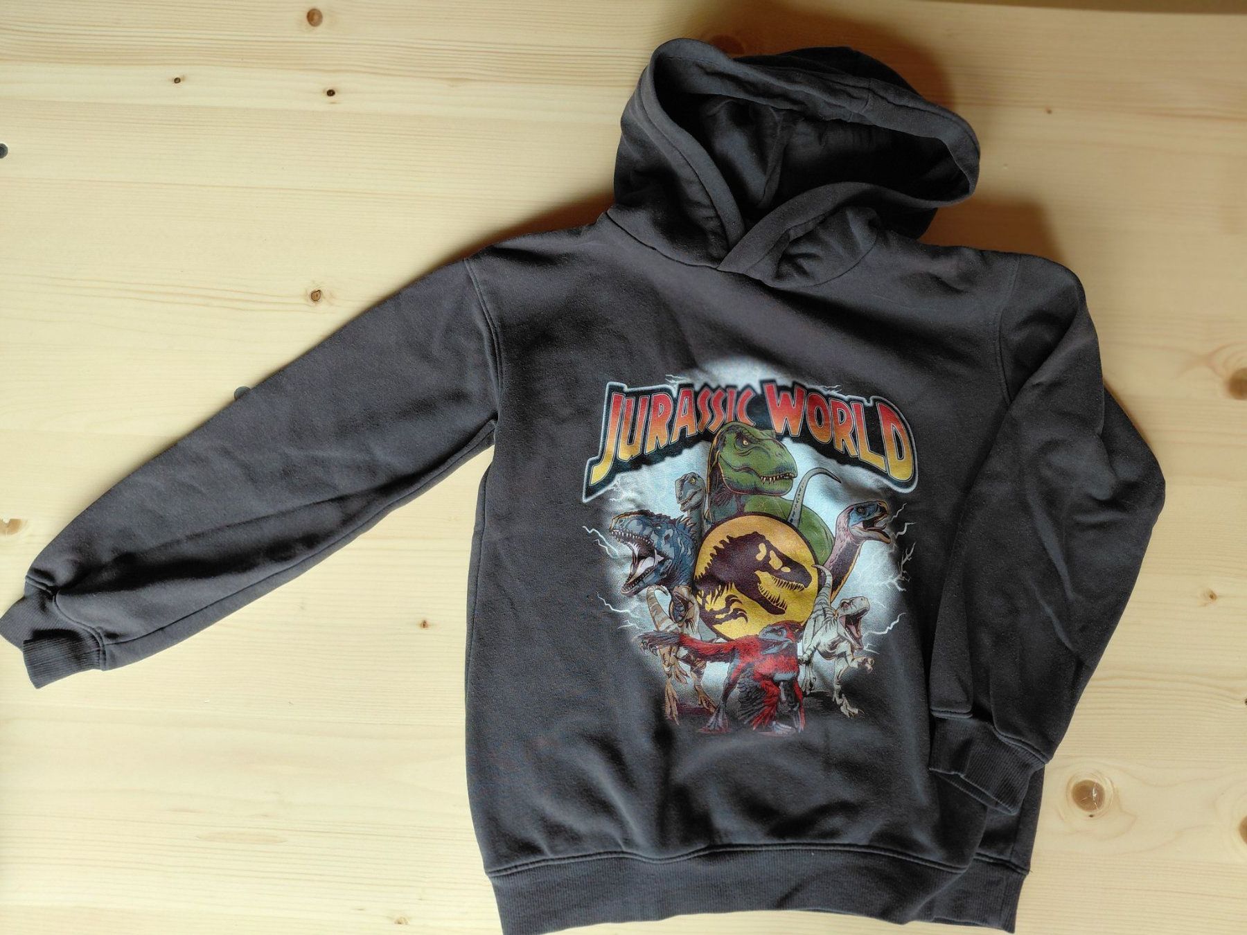 H&M Pullover & Sweatshirts: Kapuzenpullover "Jurassic World" Gr. 134/140 – Gebraucht aus Turgi von aprilhexxe