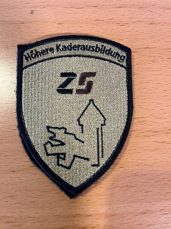 Placchette & Badge: Verbandsabzeichen Schweizer Armee – Usato da Oberwil (Dägerlen) venduto da Teddy89