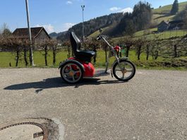 Kyburz Classic, 12km/h, neuwertige Batterien