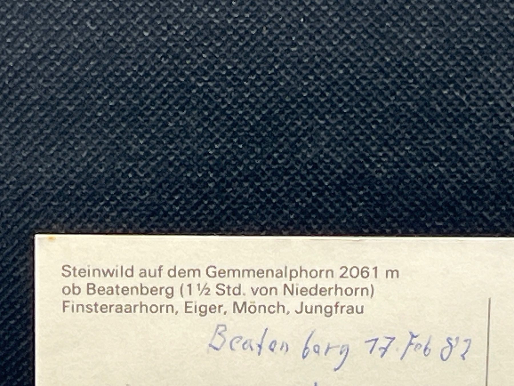 Cartoline postali: Steinwild auf dem Gemmenalphorn ob Beatenberg – Usato da Widnau venduto da Brusi9 2