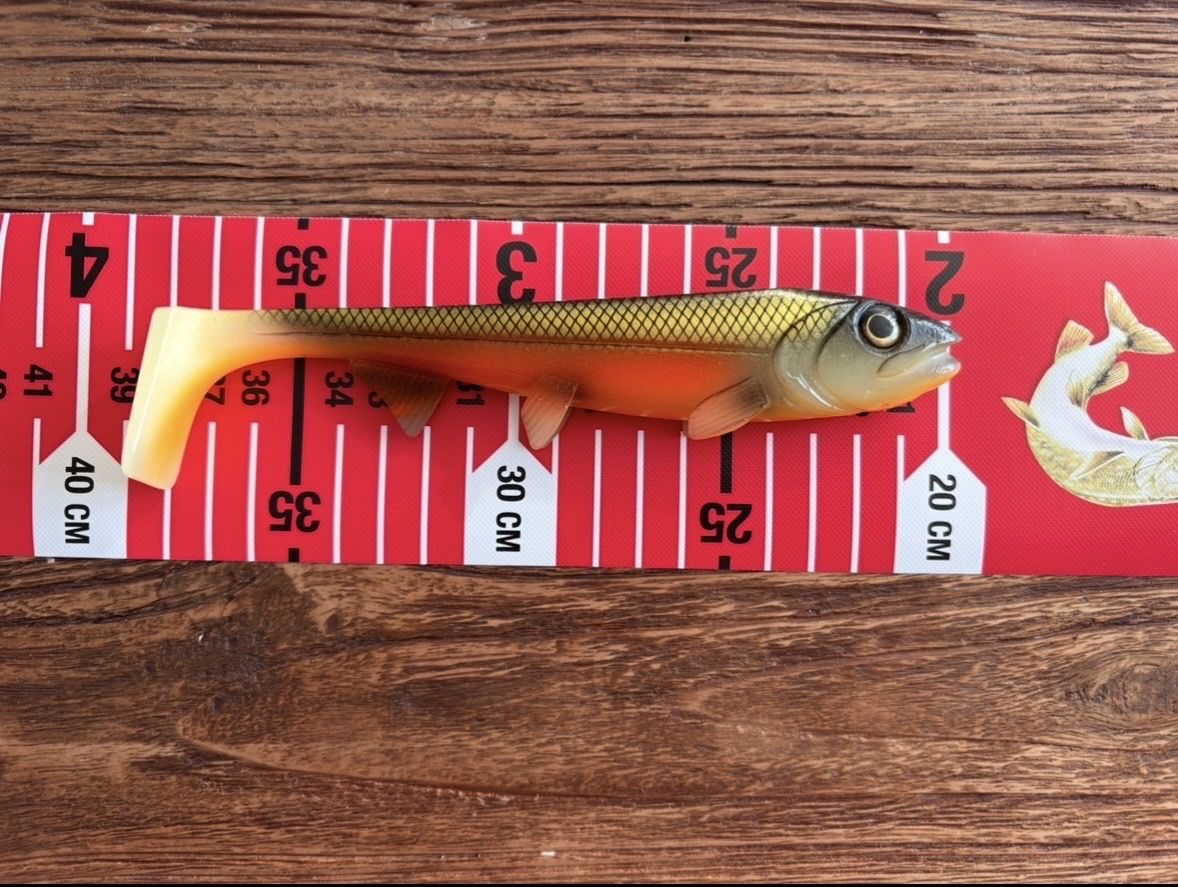 Esche: Spinnköder 18cm/53g oder 14cm/25g neu – Nuovo e nell'imballaggio originale da Pfäffikon ZH venduto da lor_f9f6 3