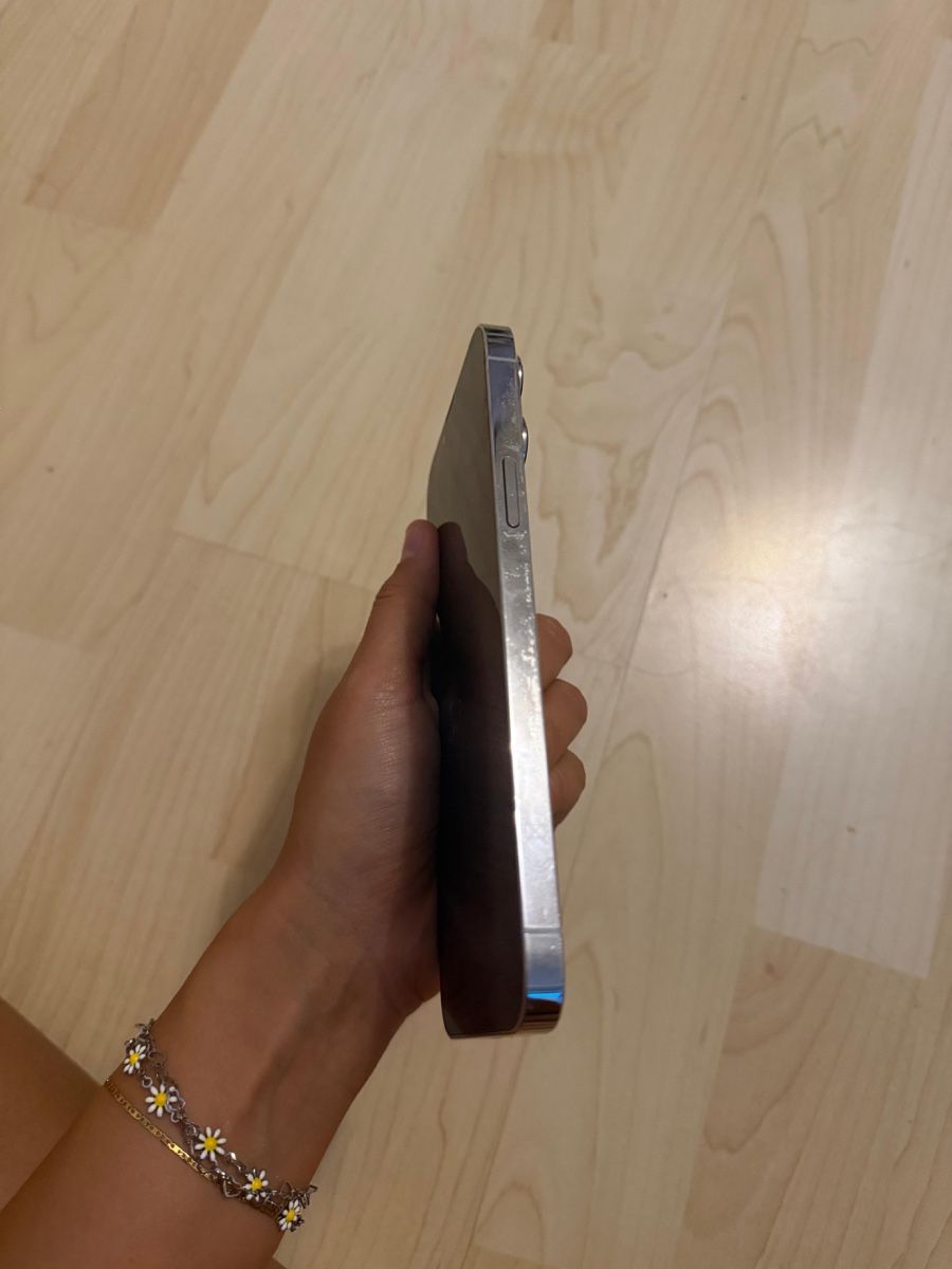 Apple Portables: Apple iPhone 13 Pro Max 256 GB Silber Technisch einwandfrei – D'occasion à Kloten par techni 4