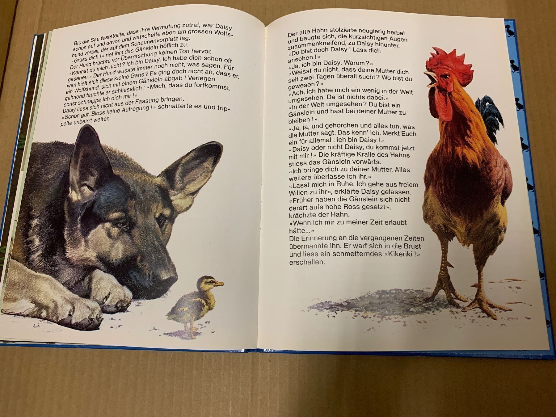 Bücher: Daisy das hochnäsige Gänslein (Buch) – Gebraucht aus Eschlikon TG von RamonaSt 8