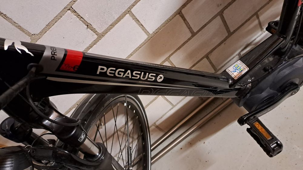 Pegasus Premio Nu E Tiefeinsteiger Da28 Rahmen Größe 45 Kaufen Auf