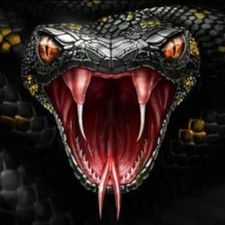Profile image of Snake_Eyes