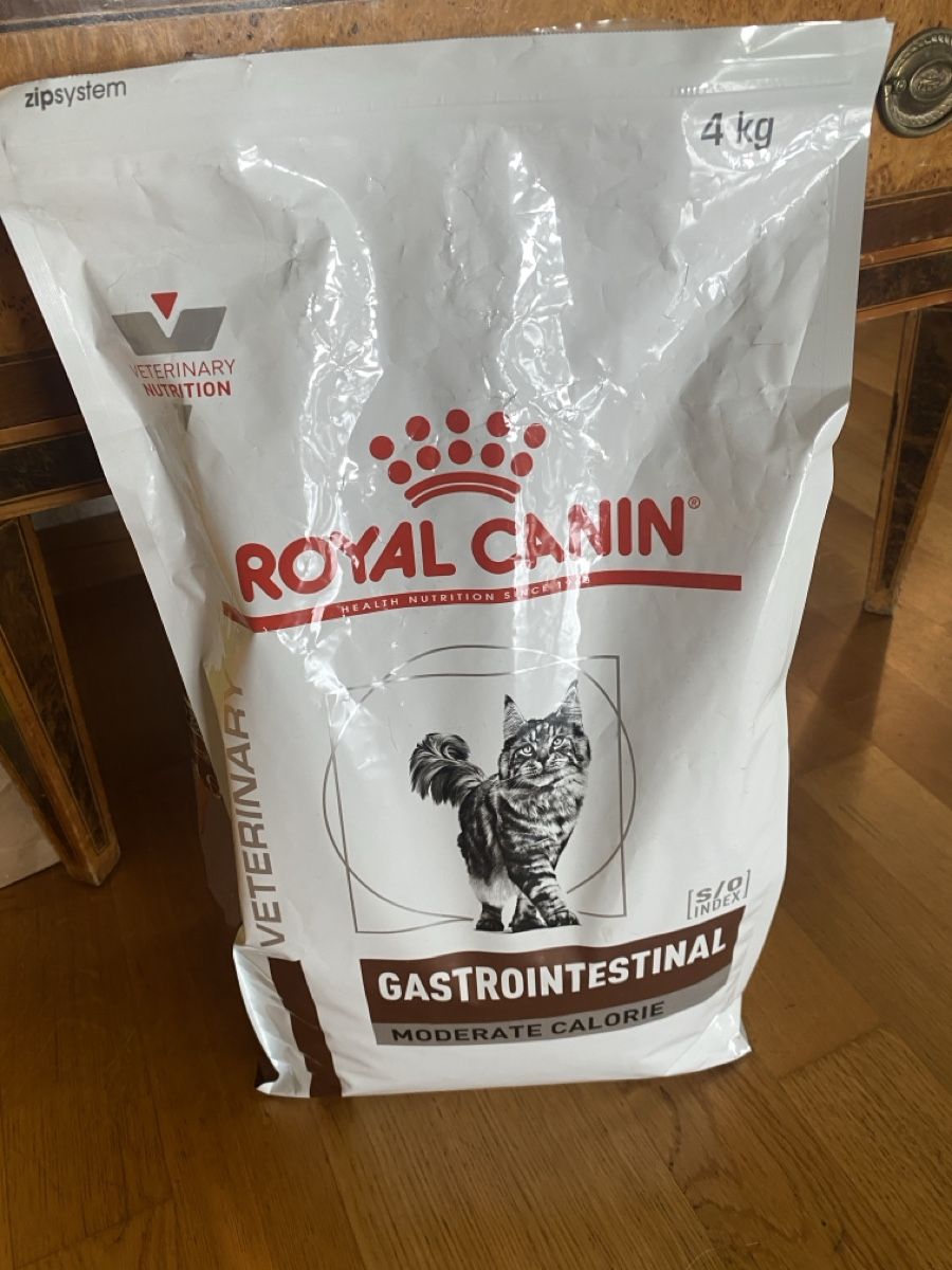 Royal Canin Nourriture: Gratis Katzenfutter – D'occasion à Bern par annfrick01