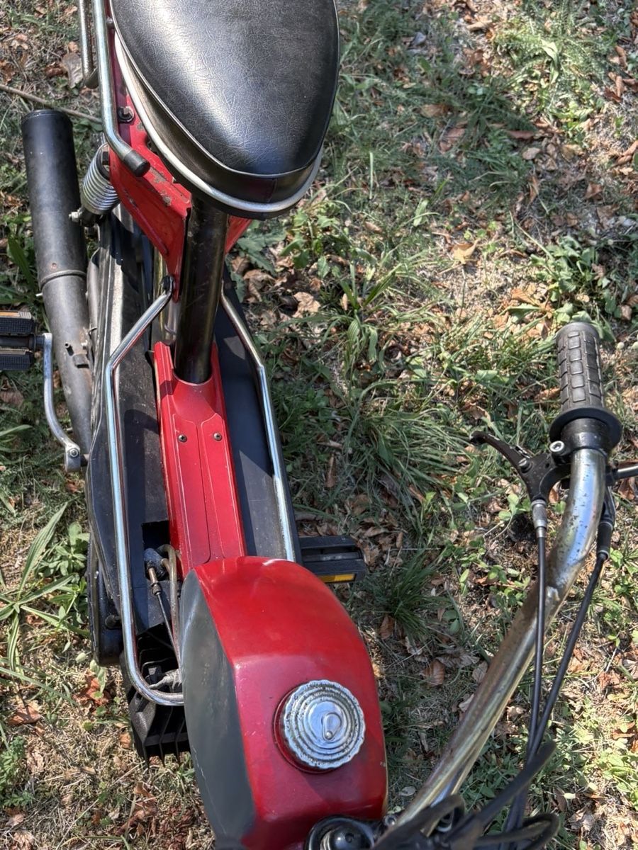 Mofas: Pony 503 GTX – Gebraucht aus Oberbuchsiten von Sven_K. 1