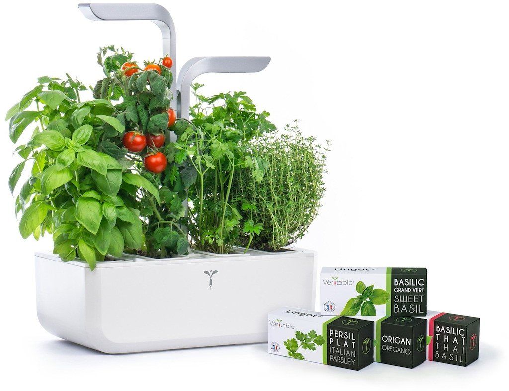 Vasi per fiori: Véritable Indoor Garten mit 4 Lingots, NEU – Nuovo e nell'imballaggio originale da Eschenbach LU venduto da Elysa1995